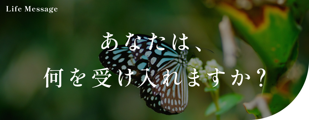 あなたは、何を受け入れますか?